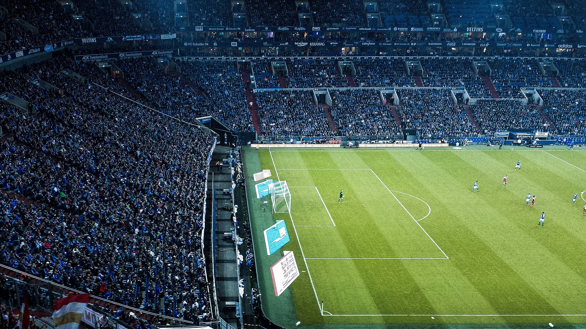 费德勒十五赛季封神,公牛球迷集体疯了!